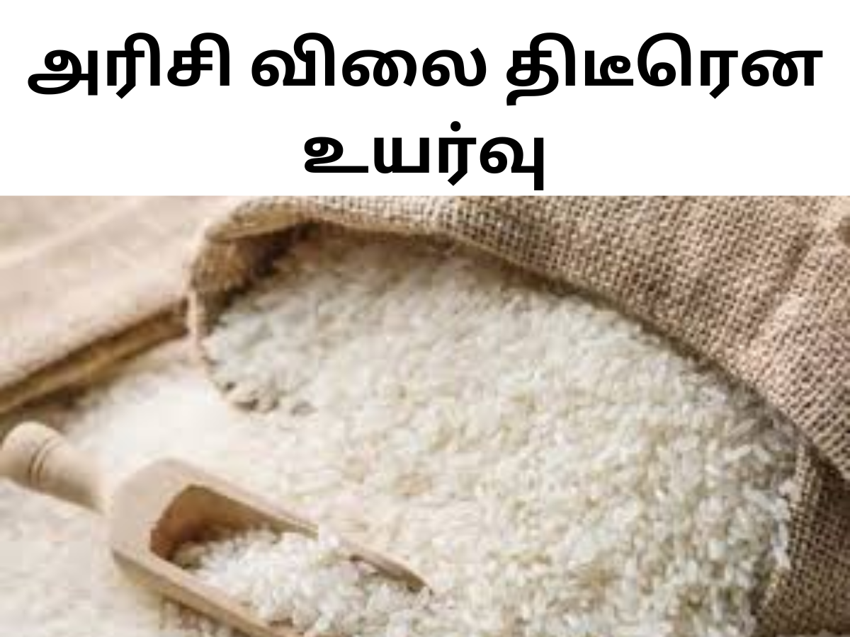rice price increase suddenly